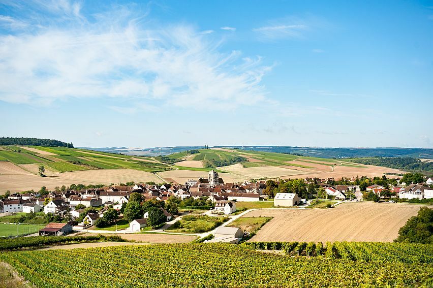 Blick auf St. Bris-le-Vineux